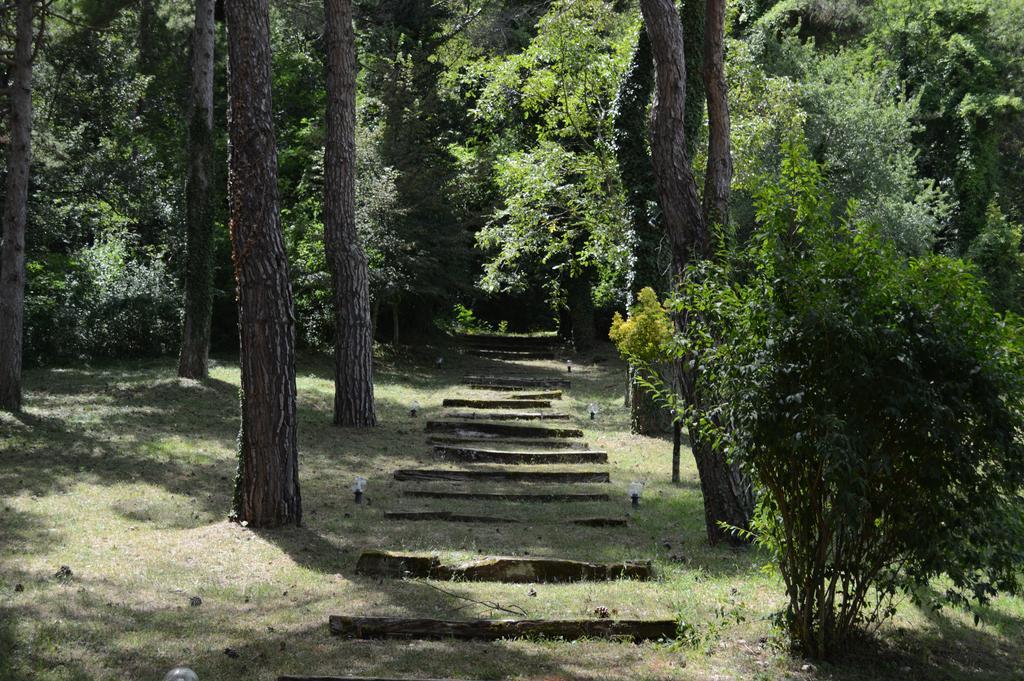 Dimora Della Fonte Hotel Greccio Kültér fotó